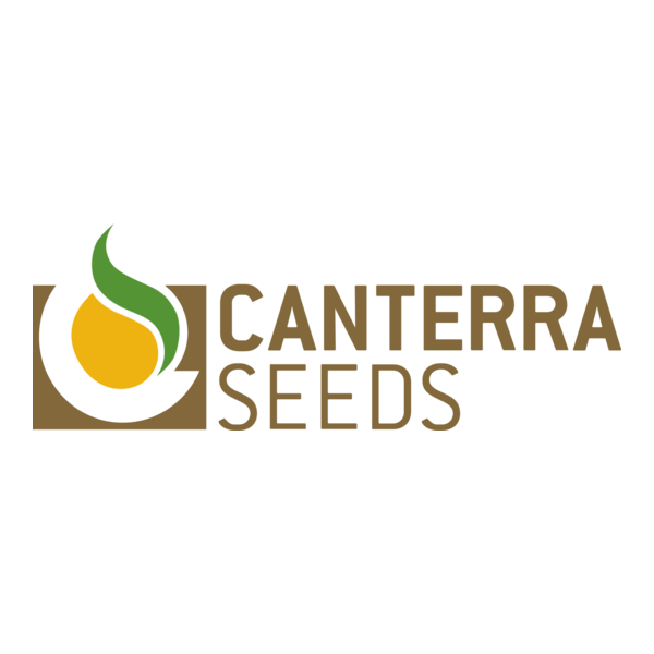 CANTERRA SEEDS Logo PNG Vector