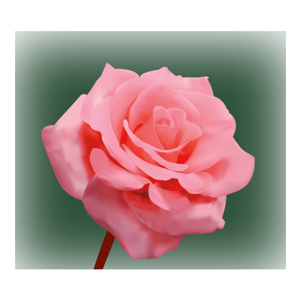 rose Logo PNG Vector