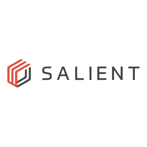 Salient Systems Logo PNG Vector