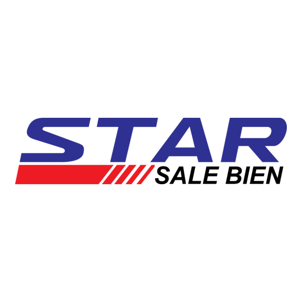 Star sale bien Logo PNG Vector