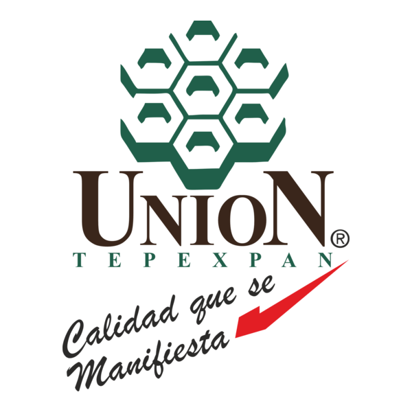 Unión Tepexpan Logo PNG Vector