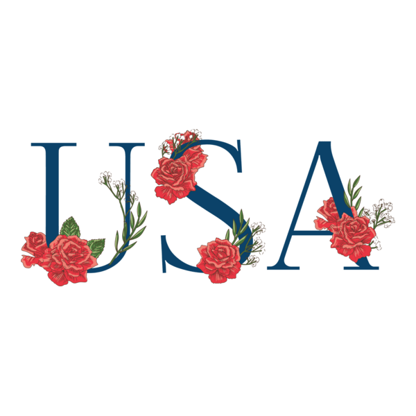 USA Logo PNG Vector