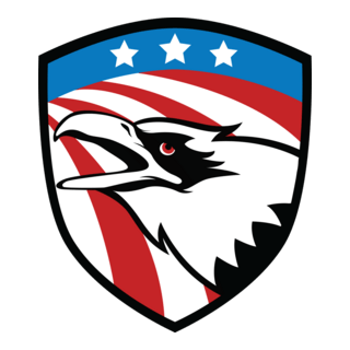 American Eagle Logo PNG Vector