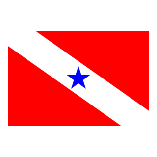 bandeira pará Logo PNG Vector