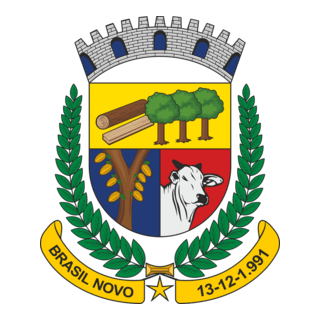 Brasil Novo Brasão Logo PNG Vector