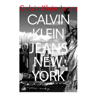 Calvin Klein Logo PNG Vector