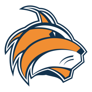 çukurova basketbol Logo PNG Vector