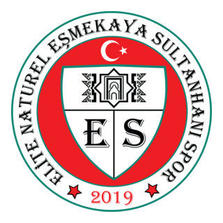 EŞMEKAYA SULTANHANI SPOR Logo PNG Vector