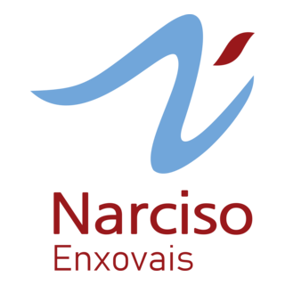 Narciso Enxovais Logo PNG Vector