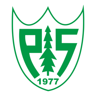 POZANTISPOR Logo PNG Vector