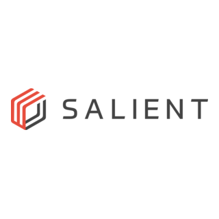 Salient Systems Logo PNG Vector