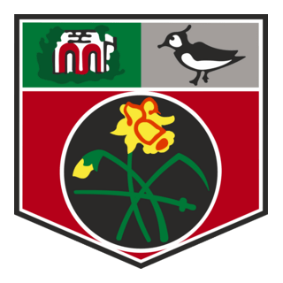 Undy Athletic FC Logo PNG Vector