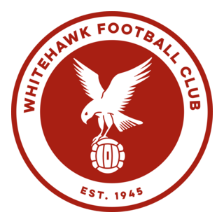 Whitehawk FC Logo PNG Vector