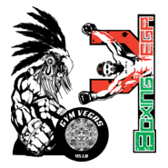 boxing vega Logo PNG Vector