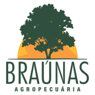 BRAUNAS AGROPECUARIA Logo PNG Vector