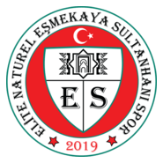 EŞMEKAYA SULTANHANI SPOR Logo PNG Vector