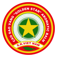 Golden Star Logo PNG Vector