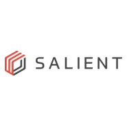 Salient Systems Logo PNG Vector