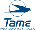 Tame alternativo grande Logo PNG Vector