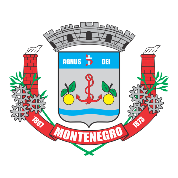 Bandeira cidade de Montenegro Logo PNG Vector