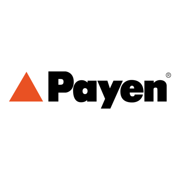 Payen by Federal-Mogul Motorparts Logo PNG Vector