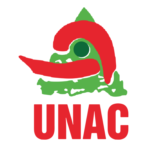 Union Nationale des Arts Culturels Logo PNG Vector