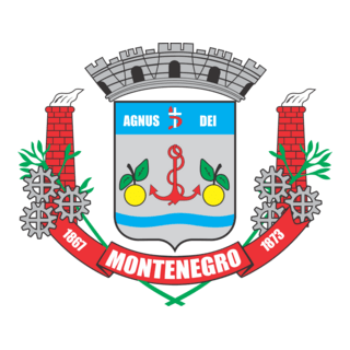 Bandeira cidade de Montenegro Logo PNG Vector