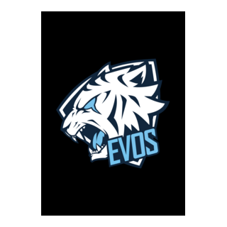 Evos Logo PNG Vector