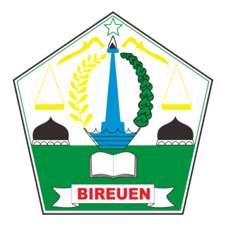 Kabupaten Bireuen Logo PNG Vector