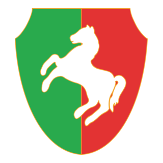 ND Dravinja Logo PNG Vector