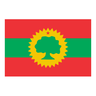 Oromia Flag Logo PNG Vector