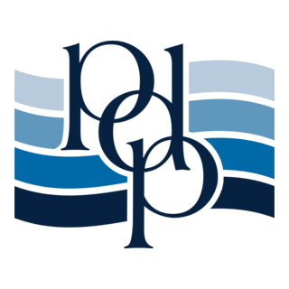 PDP Group Logo PNG Vector