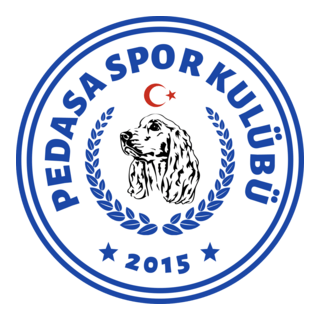 Pedasa Spor Kulübü Logo PNG Vector