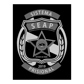 SEAP - SISTEMA PRISIONAL - PARÁ Logo PNG Vector