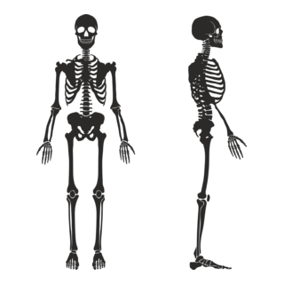 Skeleton Logo PNG Vector