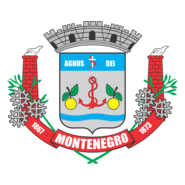 Bandeira cidade de Montenegro Logo PNG Vector