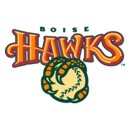 Boise Hawks Logo PNG Vector