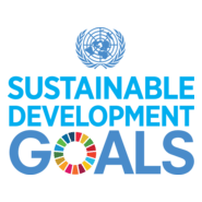 SDG Logo PNG Vector