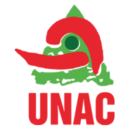 Union Nationale des Arts Culturels Logo PNG Vector