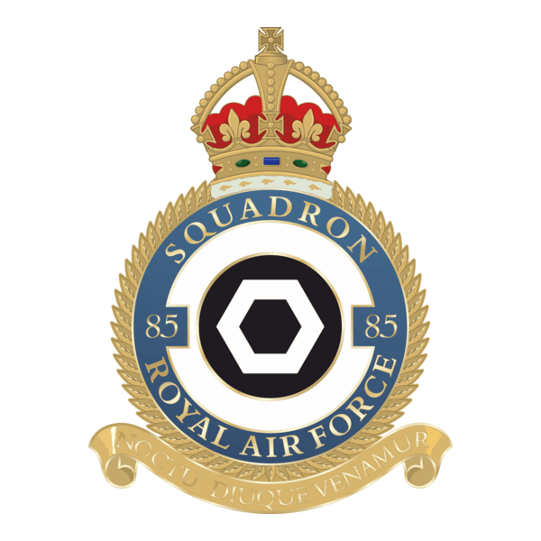 85 RAF Squadron Logo PNG Vector