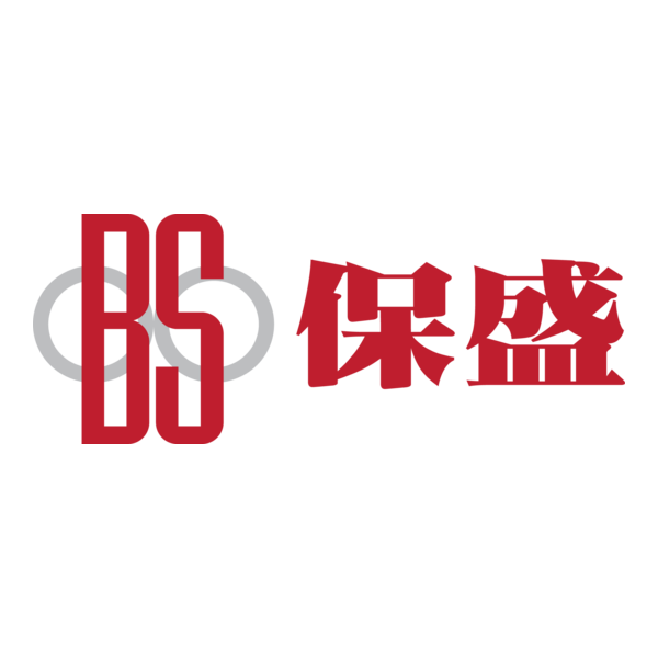 BS CIVIL ENGINEERING Logo PNG Vector