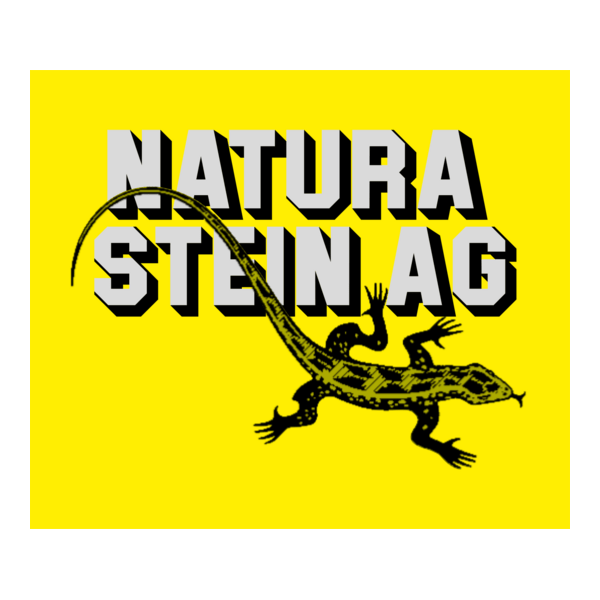 NATURA STEIN Logo PNG Vector