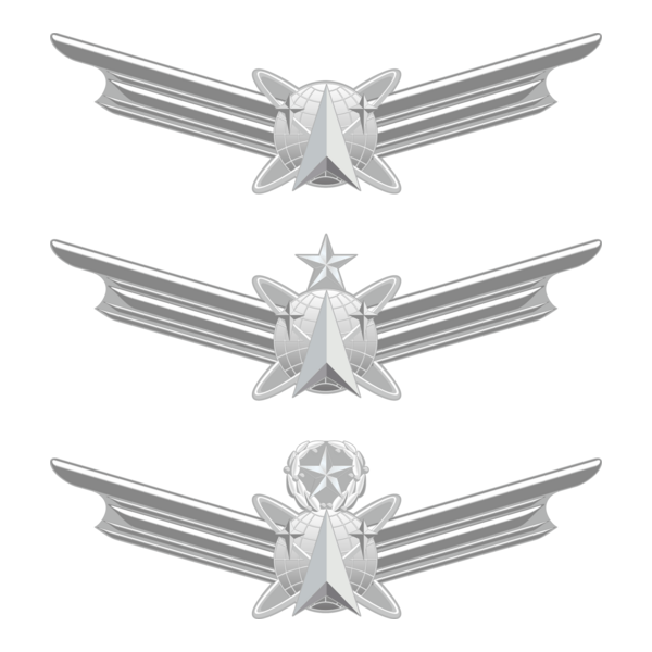 USAF Space wings Logo PNG Vector