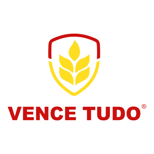 VENCE TUDO Logo PNG Vector
