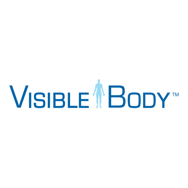 Visible Body Logo PNG Vector