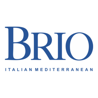 BRIO Logo PNG Vector
