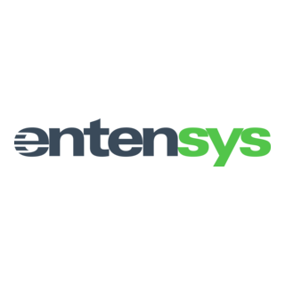 Entensys Logo PNG Vector