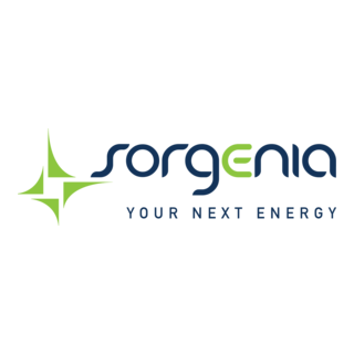 Sorgenia Logo PNG Vector
