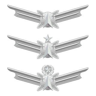 USAF Space wings Logo PNG Vector