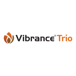 Vibrance Trio Logo PNG Vector